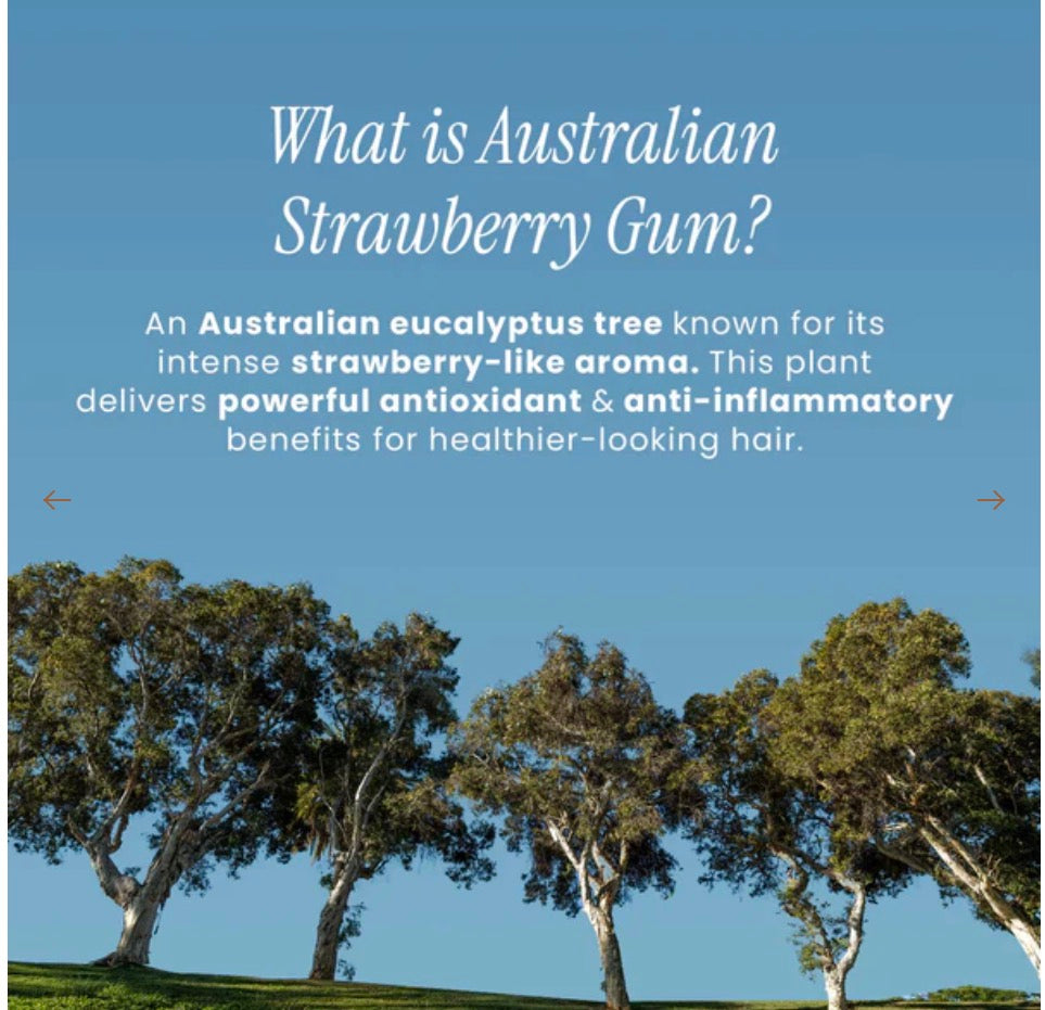 Bondi Boost Strawberry Gum Miracle Hair Mask - AtsiHairSupplies