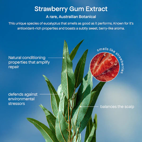 BONDI BOOST STRAWBERRY GUM MIRACLE HAIR MASK 250ml - AtsiHairSupplies