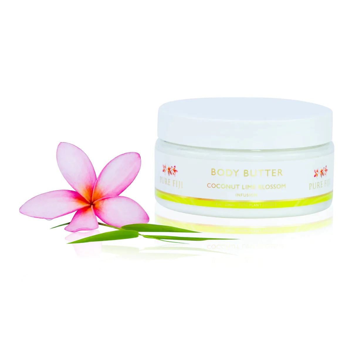 PURE FIJI NOURISHING BODY BUTTER 236ml - AtsiHairSupplies